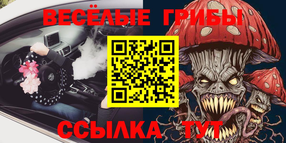 Псилоцибиновые грибы мухоморы Заводоуковск