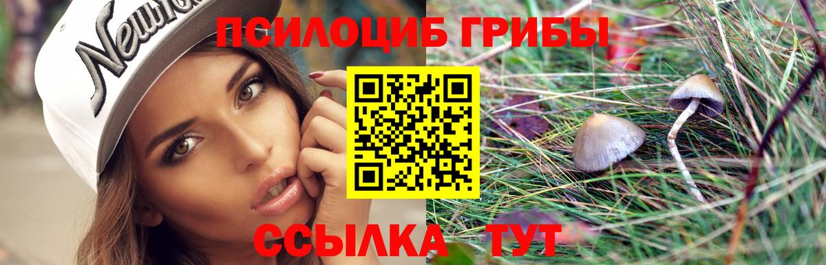 Заводоуковск  где продают   Вход с VPN  Псилоцибиновые грибы Psilocybine cubensis 